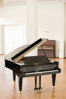 Flügel Schimmel 182