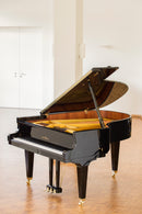 Flügel Schimmel 182