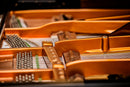 Flügel Bösendorfer 200